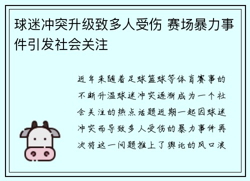 球迷冲突升级致多人受伤 赛场暴力事件引发社会关注