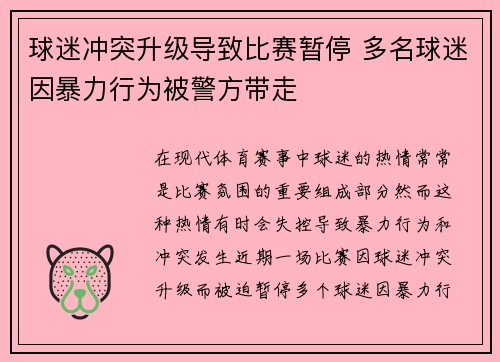 球迷冲突升级导致比赛暂停 多名球迷因暴力行为被警方带走